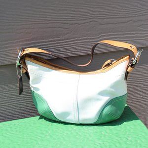 canvas Coach purse